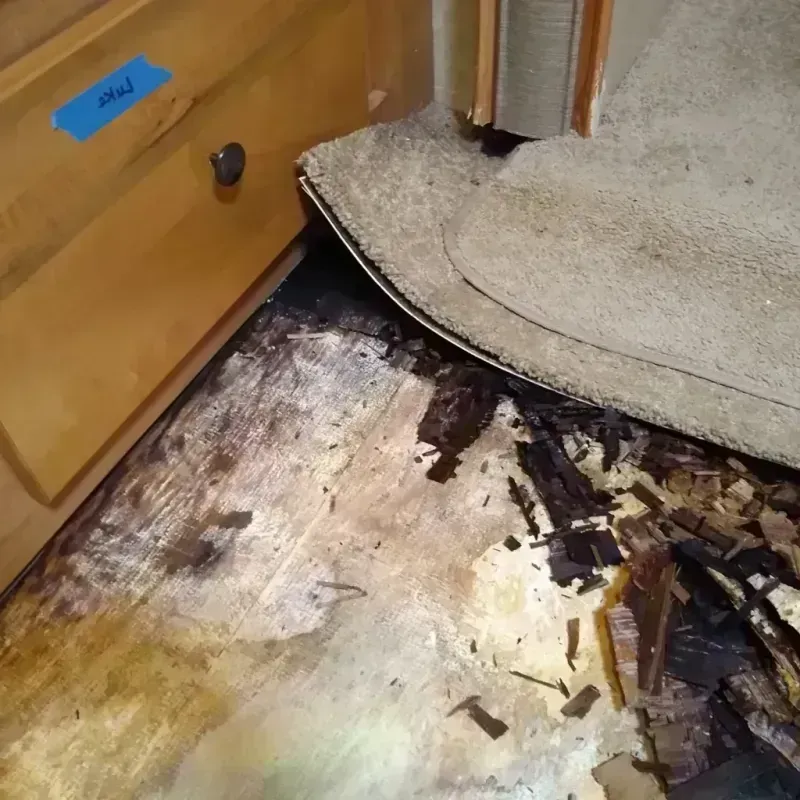 Wood Floor Water Damage in Freeman, SD